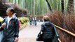 Man takes walk in 'magical' bamboo forest in Kyoto