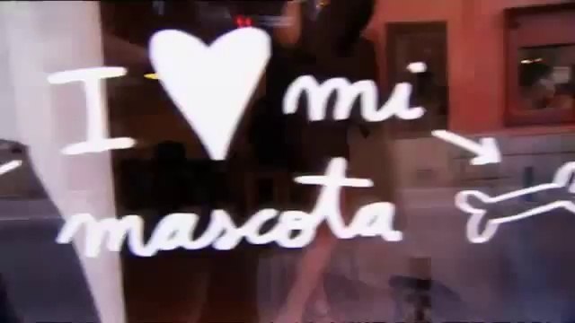 Conocemos el Madrid locales donde te dejan entrar con tu mascota