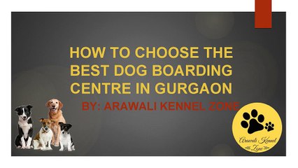Tips to Choose the Best Dog Boarding Centre in Gurgaon