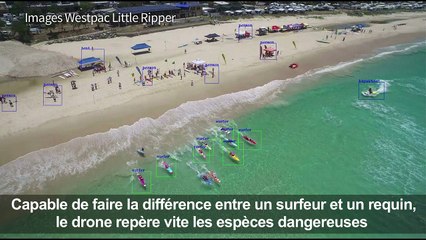 Australie: des drones sur les plages à la recherche de requins