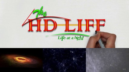 Men's Dress Measurement Chart for Pant & Shirt - By The HDLIFE