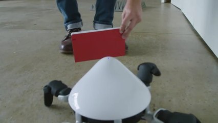 Hexa: the Fascinating Yet Unsettling Six-Legged Robot