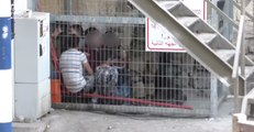 Israeli Soldiers Arrest Children in Hebron for Throwing Stones During October Incident