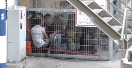 Israeli Soldiers Arrest Children in Hebron for Throwing Stones During October Incident