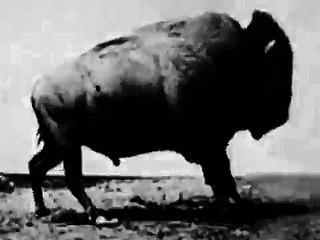 Buffalo Running (1883)
