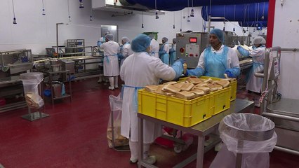 Na luta contra desperdício, pão é transformado em cerveja