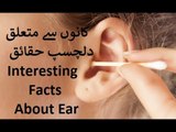Intresting Facts about Ear and Hearing (Urdu   Hindi)