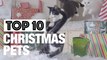 Top 10 Christmas Pets