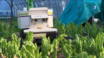 CHAMPIONS DE L ECONOMIE NAIO TECH A TOULOUSE