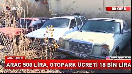 Binlerce lüks araç çürümeye terk edildi
