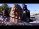 Las Vegas Police Enlist Chewbacca and Darth Vader For Distracted Driving Awareness Clip