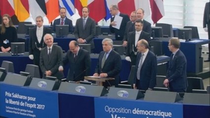 Oposición venezolana agradece a Europa reconocimiento a lucha por libertad