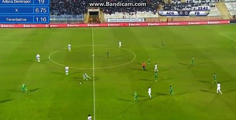 Fernandao Goal - Adana Demirspor 0-1 Fenerbahce
