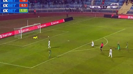 Fernandao Goal HD - Adana Demirspor	0-1	Fenerbahce 13.12.2017