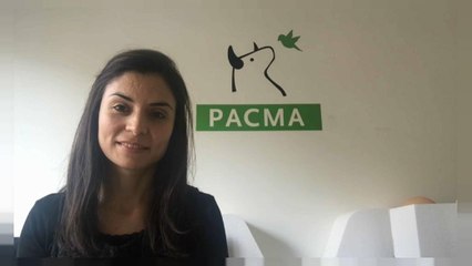 Los animales dejarán de ser cosas, pero "solo sobre el papel"