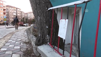 'Demir parmaklıklı' söğüt ağacı  - YOZGAT