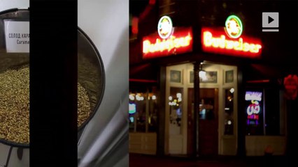 SpaceX and Budweiser are Sending Barley Seeds to Space in the Name of Science