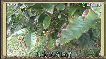 鐵腕挑戰中 20171125 日語中文字幕綜藝節目