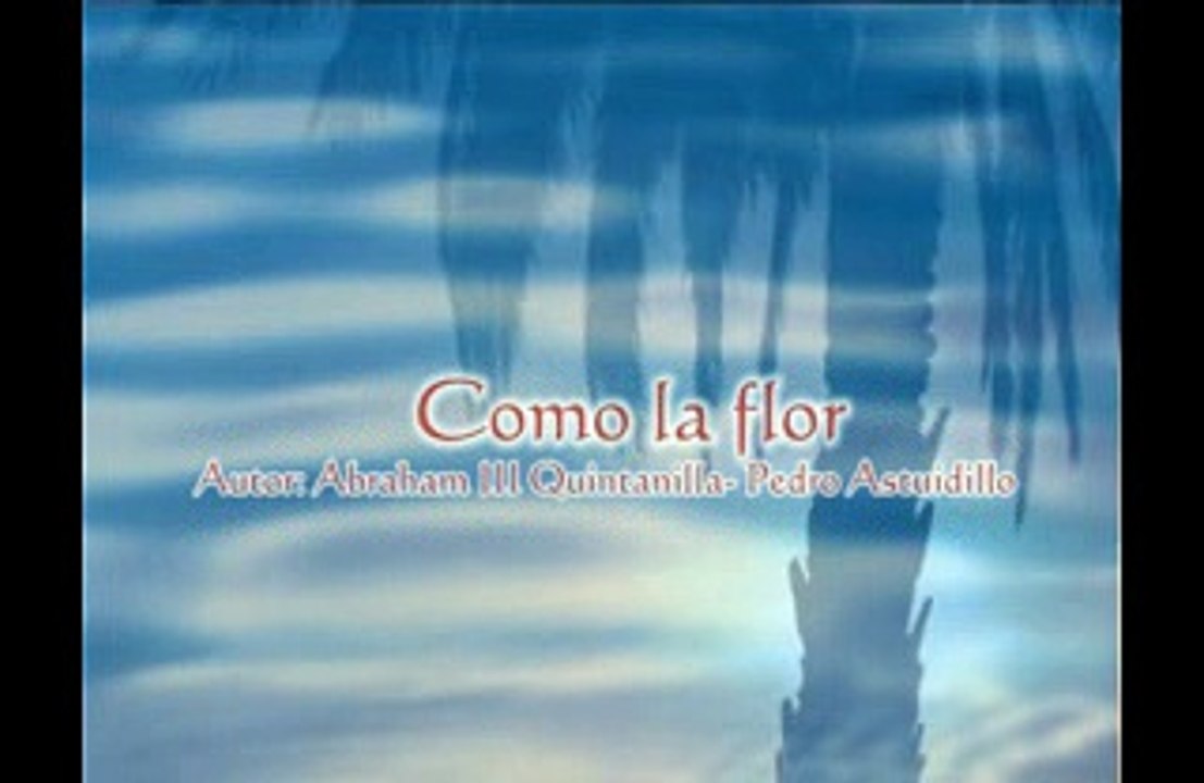 Selena - Como la Flor (Karaoke)