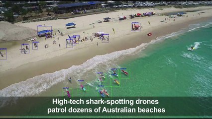 Shark-spotting drones on patrol at Australian beaches