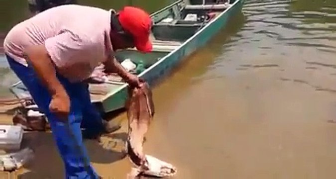 Ils balancent un morceau de poisson dans l'eau pour verifier si il y a des piranhas...