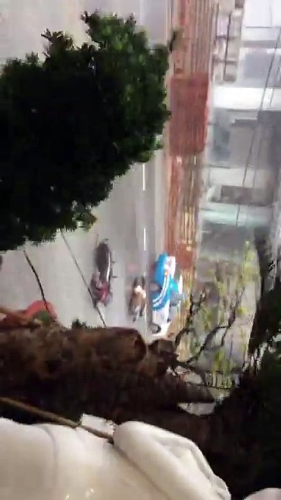 Hurricane Damrey in Vietnam