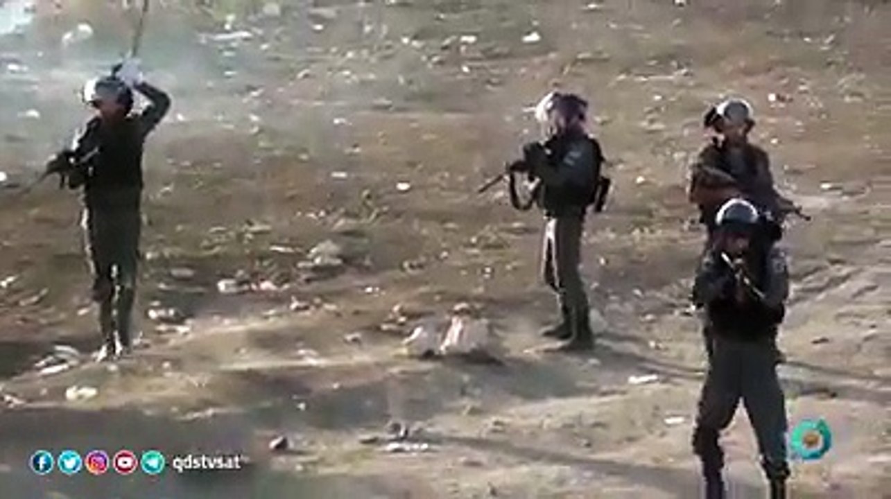 israili kuto ki trah bagty huye