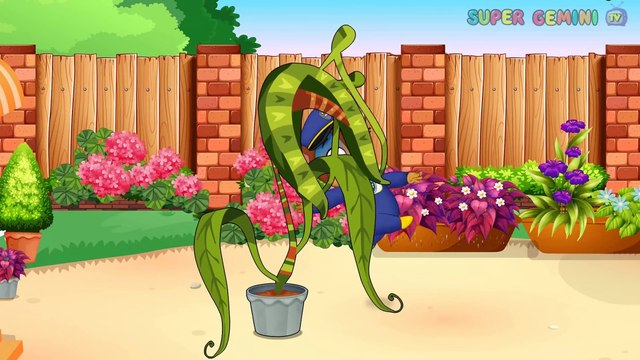 Paw Patrol Full Ep. | Pups Save Chase Buy Tomatoes Funny Story| Paw Patrol Cartoon For Kids