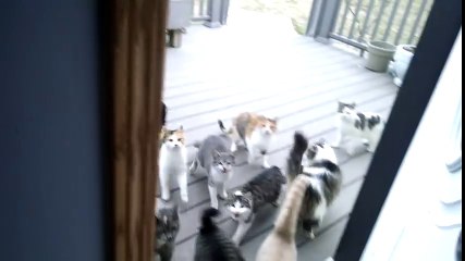 Every day. Every. Darn. Day.