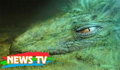 Phát hiện quái vật khổng lồ dưới đáy Bắc Cực