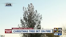 Community coming together to replace Christmas tree set on fire