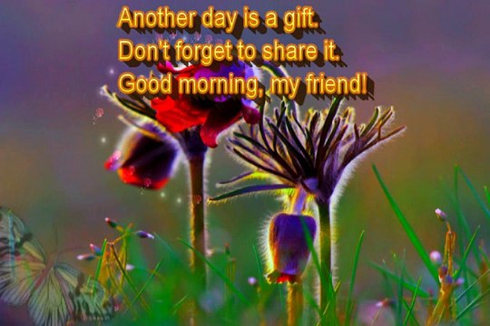 Good morning Quotes Graphics images,Good morning Quotes 3D Wallpapers,Good  morning Quotes 3D Pictures - video Dailymotion
