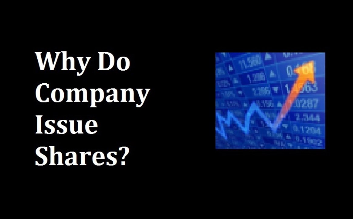 Why do Company Issue Shares ?