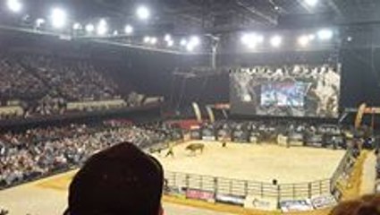 Bull Euthanased After Breaking Leg During Adelaide Rodeo