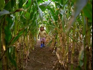 Baby Einstein 06 - Baby MacDonald - A Day on the Farm 09-12mos