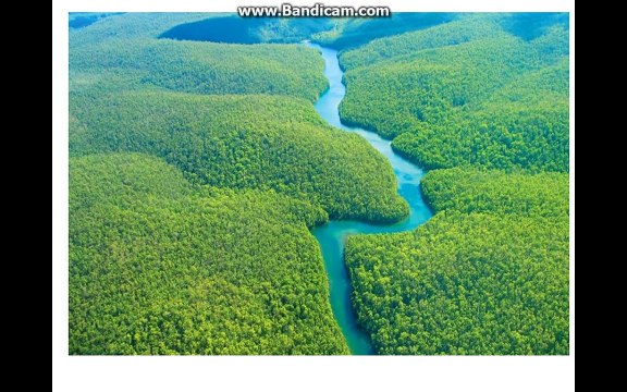 Интересные Факты Часть 4-uRbfS5AwI2s