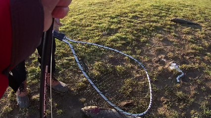 Brood Trout Fishing
