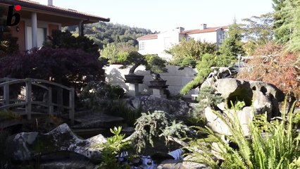 The bonsai garden of  LUIS BALINO-_Rl6IDpLYf4