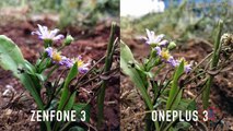 Asus Zenfone 3 Camera Review & Compared with OnePlus 3-BaiUXP7k4uY