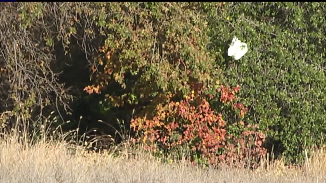 California Police Searching for Owners After Box of Family Mementos, WWII-Era Letters Found