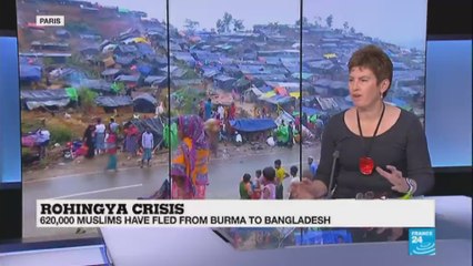 Rohingya Crisis: "Any repatriation has to be voluntary"