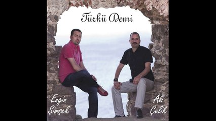 Ali Çelik & Engin Şimşek  - Can Gelsene (Official Audio)