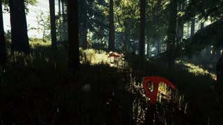 The Forest – PSX 2017 - Multiplayer Trailer - PS4 [HD]
