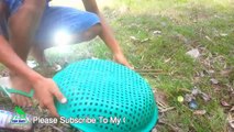 Awesome Quick Bird Trap in Cambodia - The Best Bird Trap - Easy Best Bird Traps (That Work 100%)