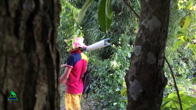 Awesome Quick Sling Foot Bird Trap Using PVC Pipe - How To Make Bird Traps With PVC Pipe Works 100%