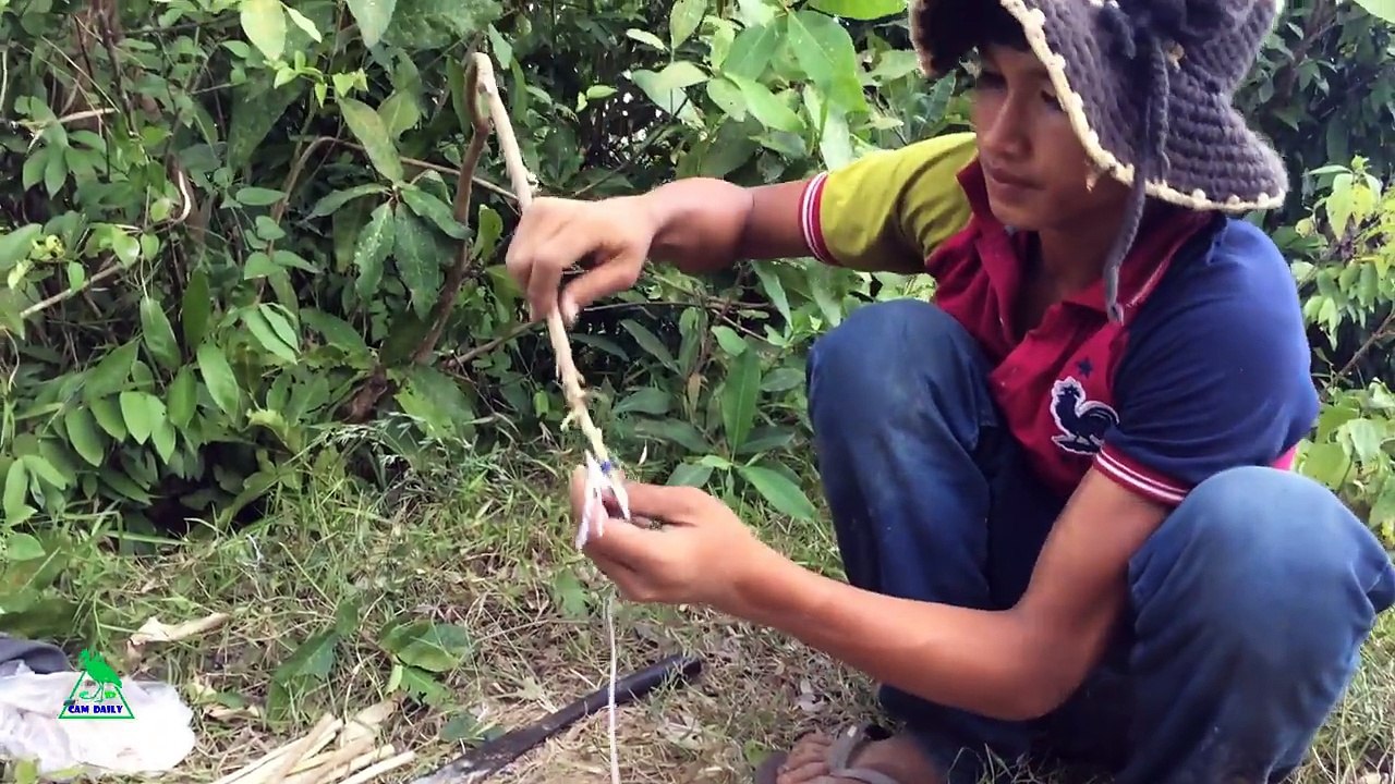 Easy Deep Hole Dove & Bird Trap Using A Leg Snare Platform Trap - The Best Dove Traps That Work 100%