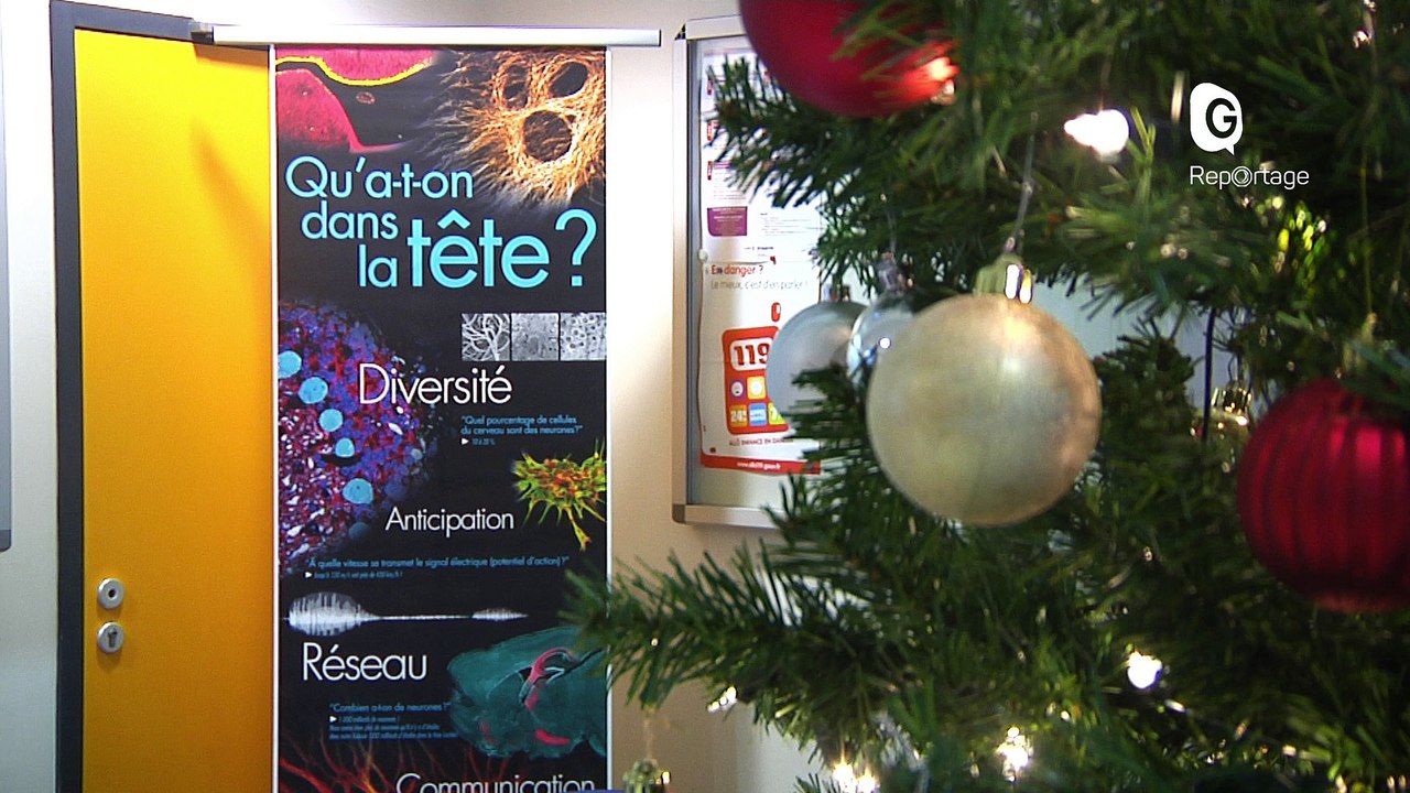 Reportage - Le GIN a 10 ans !