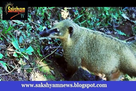 Amazing travel video - 8 months backpacking around the world _ Lu Ka