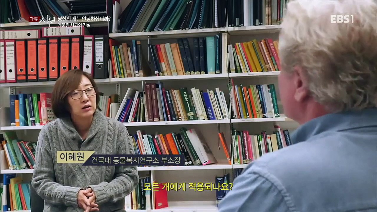 다큐 시선 - 당신의 개는 안녕하십니까?- 개물림 사고의 진실_#001