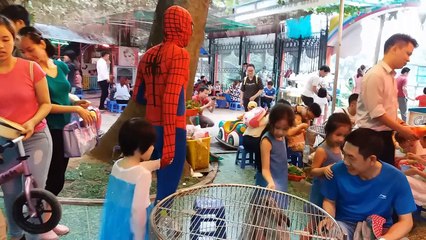 Gia Linh và Người Nhện ăn thử bánh Rán đường phố